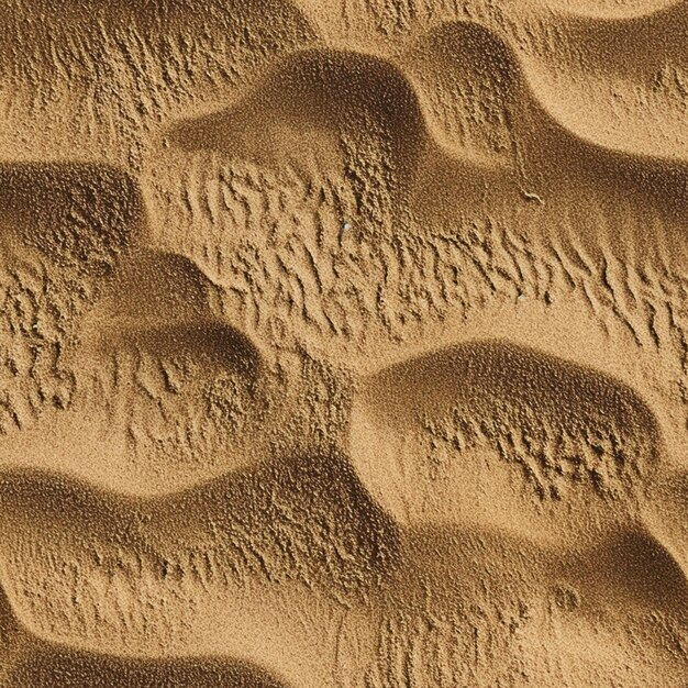 sand texture