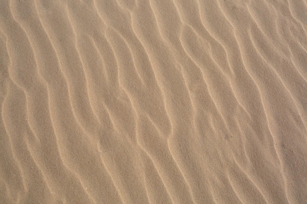 sand textureBeach sandSand Texture for Summer Background