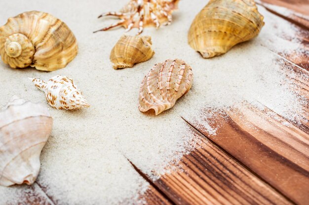 Sand with seashells on the wooden background