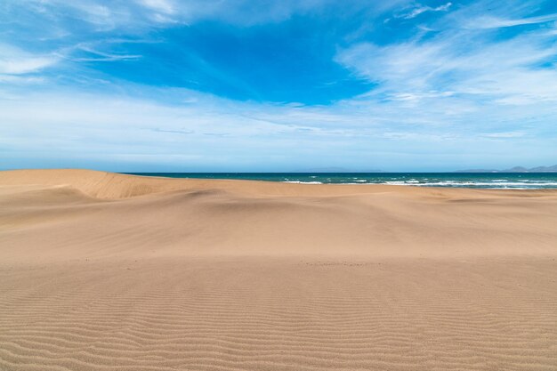 写真 砂丘: 乾いた砂丘の波打つ表面