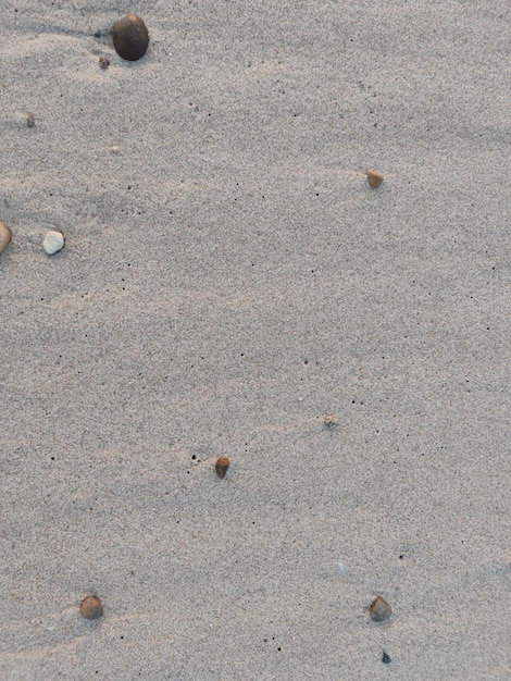 Sands and stones on the beach