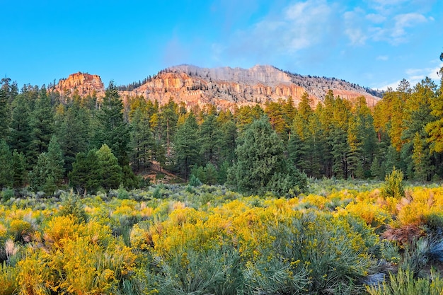 Sandstone cliffs with clouds near pine lake campground ut