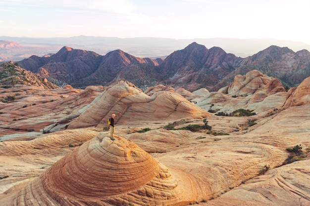 Sandstone formations in Utah, USA. Yant flats