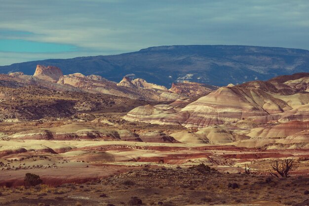 Sandstone formations in Utah, USA