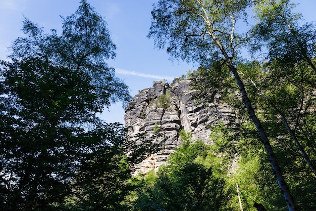 Sandstone rocks in the Bohemian Switzerland National Park, Czech Republic