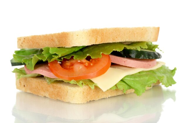 Sandwich isolated on white