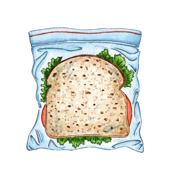 Sandwich in a package watercolor