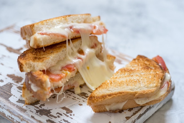 Foto panino tostato alla griglia con formaggio e pomodori