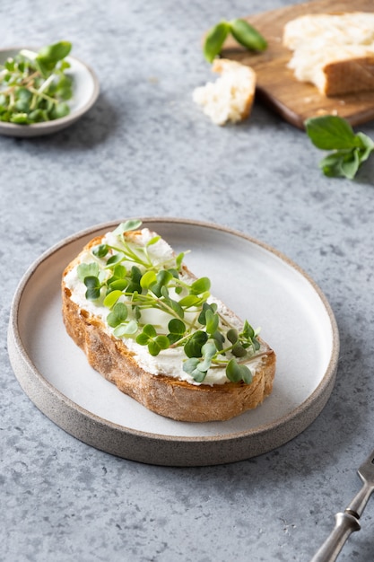 Sandwich on toast with fresh radish microgreen and cream cheese on grey. Close up.