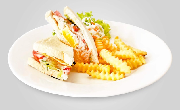 Photo sandwich tuna mayo and french fries