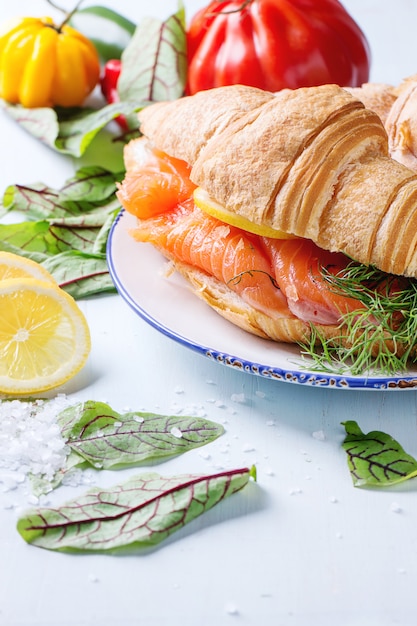 Sandwich with salted salmon