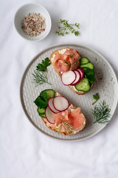 Sandwiches met gerookte roze zalm, radijs, komkommer en roomkaas op grijze keramische plaat en textiel oppervlak. Bovenaanzicht.