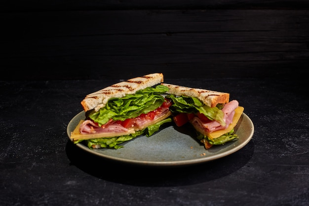 Sandwiches on the plate. Dark background.