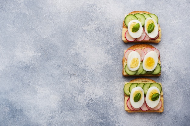 Sandwiches with egg cheese, fresh cucumber and radish.