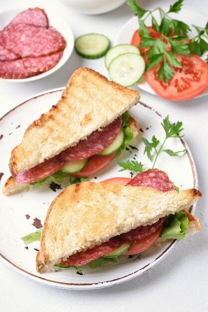 Foto sandwich con salami, pomodori, cetrioli e lattuga