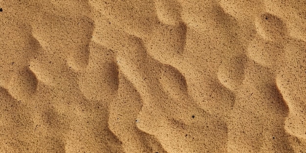 Sandy beach background top view