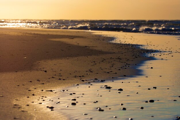 Sandy beach during sunset