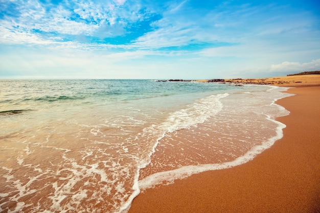 Sandy beach in the evening Ocean on a sunny day