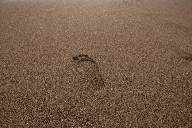 Sandy beach footprint on the beach