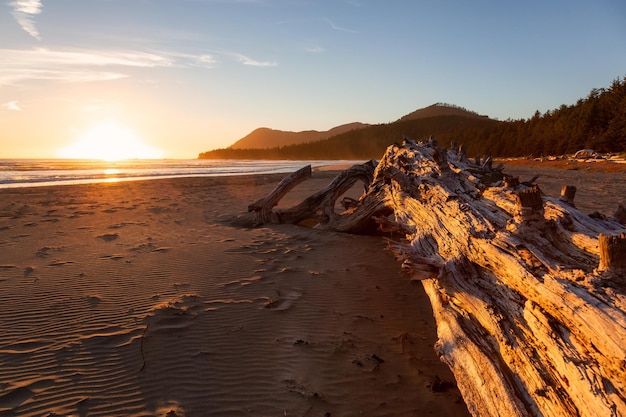Sandy beach on the Pacific Ocean Coast during a vibrant summer sunset