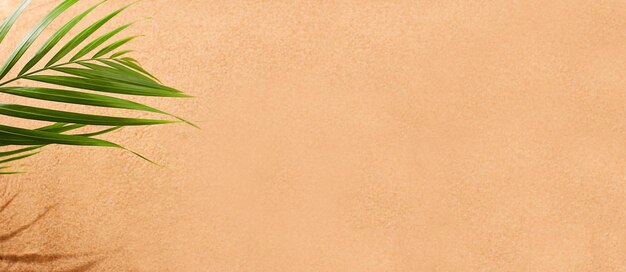 Sandy beach palm leaf Natural sandy background banner