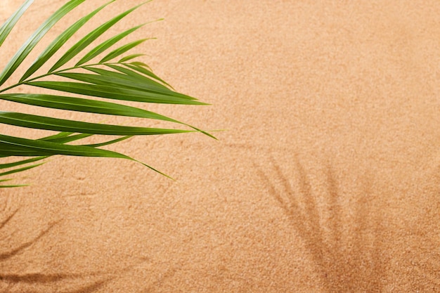 Sandy beach palm leaf natural sandy background