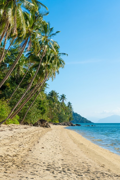 Sandy beach of a paradise deserted tropical island. Palm trees overhang on the beach. White sand. Blue water of the ocean. Rest away from people