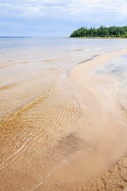 Sandy beach of the sea against a blue sky with clouds and forests