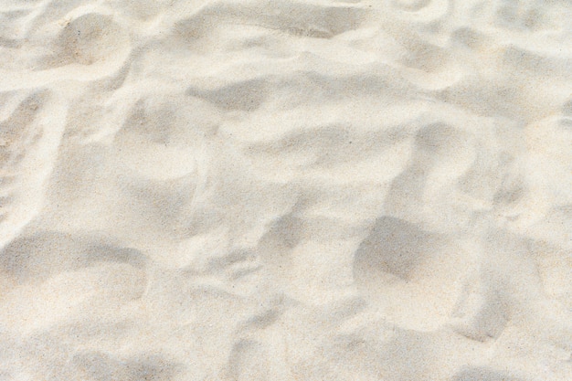 Sandy beach sea texture