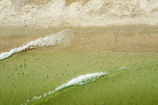 sandy beach on the seashore