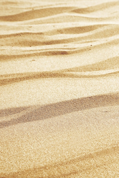 Photo sandy beach on a sunny day background sand dunes beige texture vertical selective focus