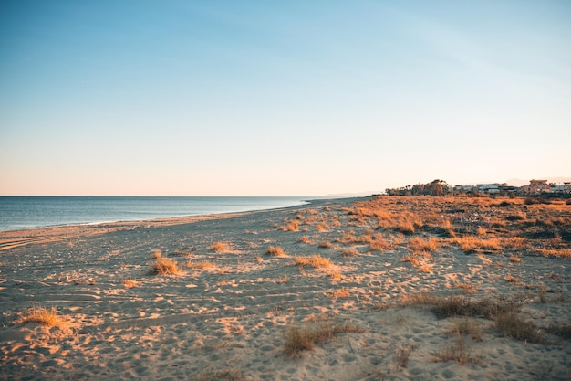 Sandy beach at sunset with Mediterranean scrub