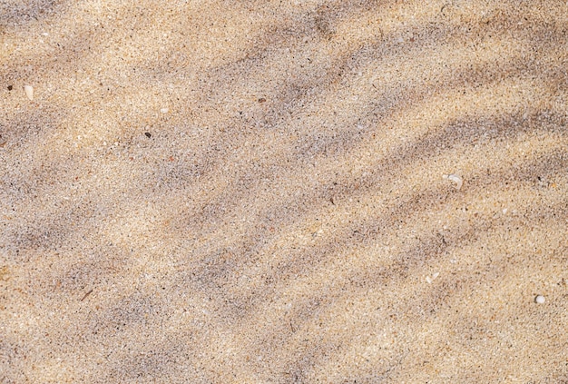 Sandy beach surface Sand waves background