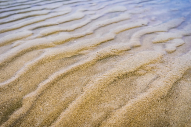 Foto fondo di struttura della spiaggia sabbiosa.