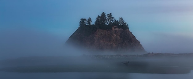 Photo sandy beach on west coast of pacific ocean foggy colorful sunrise