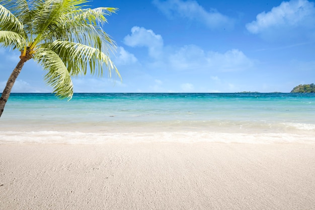 Песчаный пляж с голубым океаном и голубым небом
