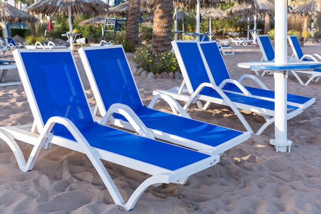 Sandy beach with palm trees with a metal pergola and plastic sun loungers