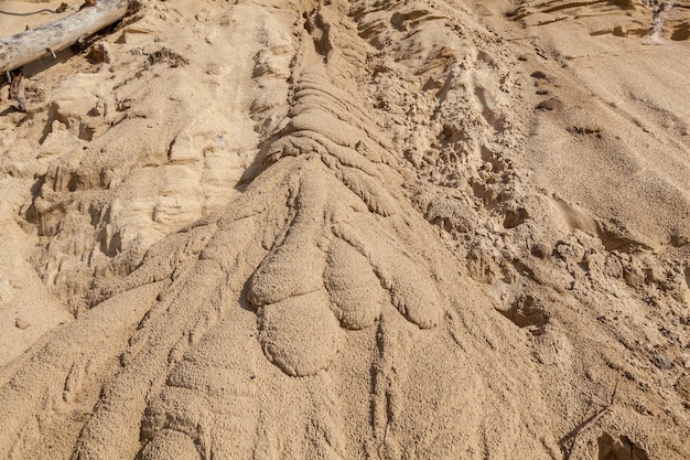 Sandy beach with patterns from the streams of water The texture of the sandy s