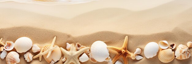 Sandy beach with seashells and starfish ideal for summer travel design inspiration