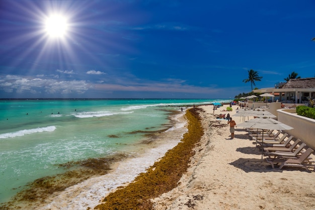 Sandy beach with seaweed on a sunny day with hotels in Playa del Carmen Mexico