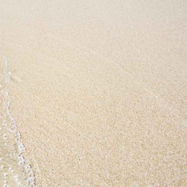 Foto spiaggia sabbiosa con corallo bianco sullo sfondo ondata morbida su messa a fuoco selettiva