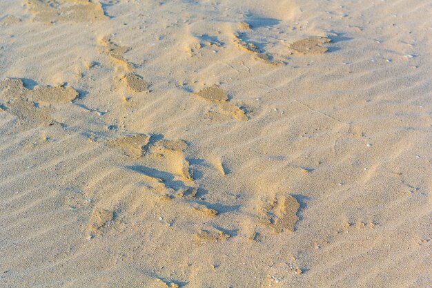 Foto spiaggia sabbiosa