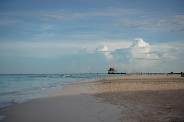 Photo sandy caribbean sea beach with azure water and thatched hut on the horizon