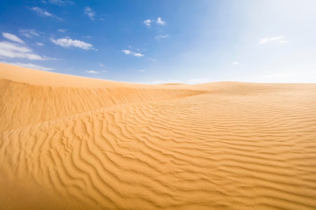 Sandy desert Beautiful landscape in moroccan desert maroc