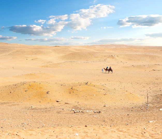 Sandy desert in Egypt in the afternoon