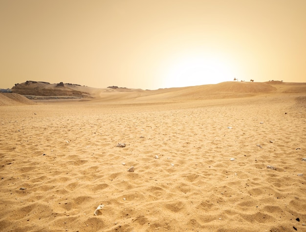 석양에 이집트의 모래 사막