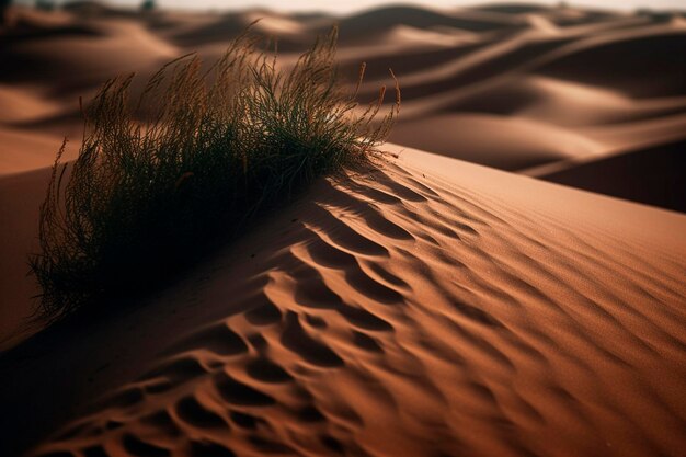 Foto deserto sabbioso ia generativa