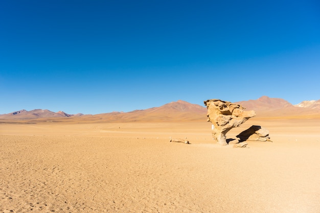 Deserto sabbioso tratto sulle ande boliviane