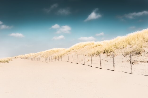 Photo sandy dunes on the sea coast of north sea in noordwijk, netherlands