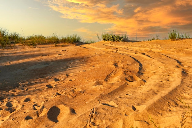 Sandy dungeon with traces of transport people and animals